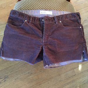 Carve Designs Oahu 4" Short in Brick